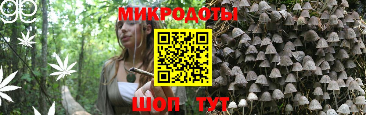 Губаха  Галлюциногенные грибы мухоморы  Вход с VPN 
