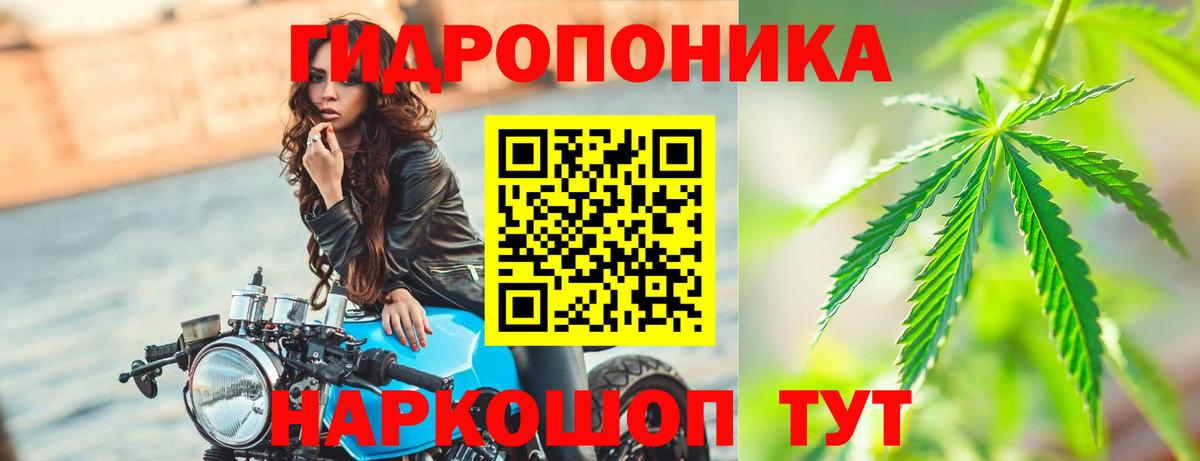 Бошки Шишки ГИДРОПОН  Шишки марихуана тримм  Марихуана OG Kush  Шишки марихуана Bruce Banner  Губаха  Вход с VPN 
